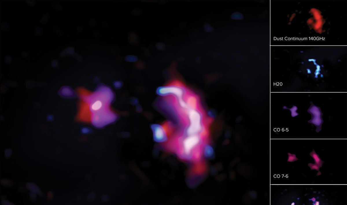 Galaktikų formavimasis ankstyvojoje VIsatoje. ALMA (ESO/NAOJ/NRAO)/S. Dagnello (NRAO) nuotr.