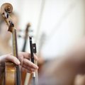 Garsus britų muzikantas traukinyje paliko šimtų tūkstančių eurų vertės smuiką