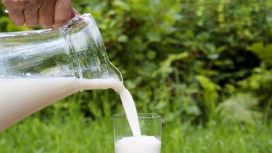 Pieno sektoriaus plėtros strategija - finišo tiesiojoje