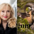 2019 metų horoskopas Ožiaragiui: permainingi pokyčių metai