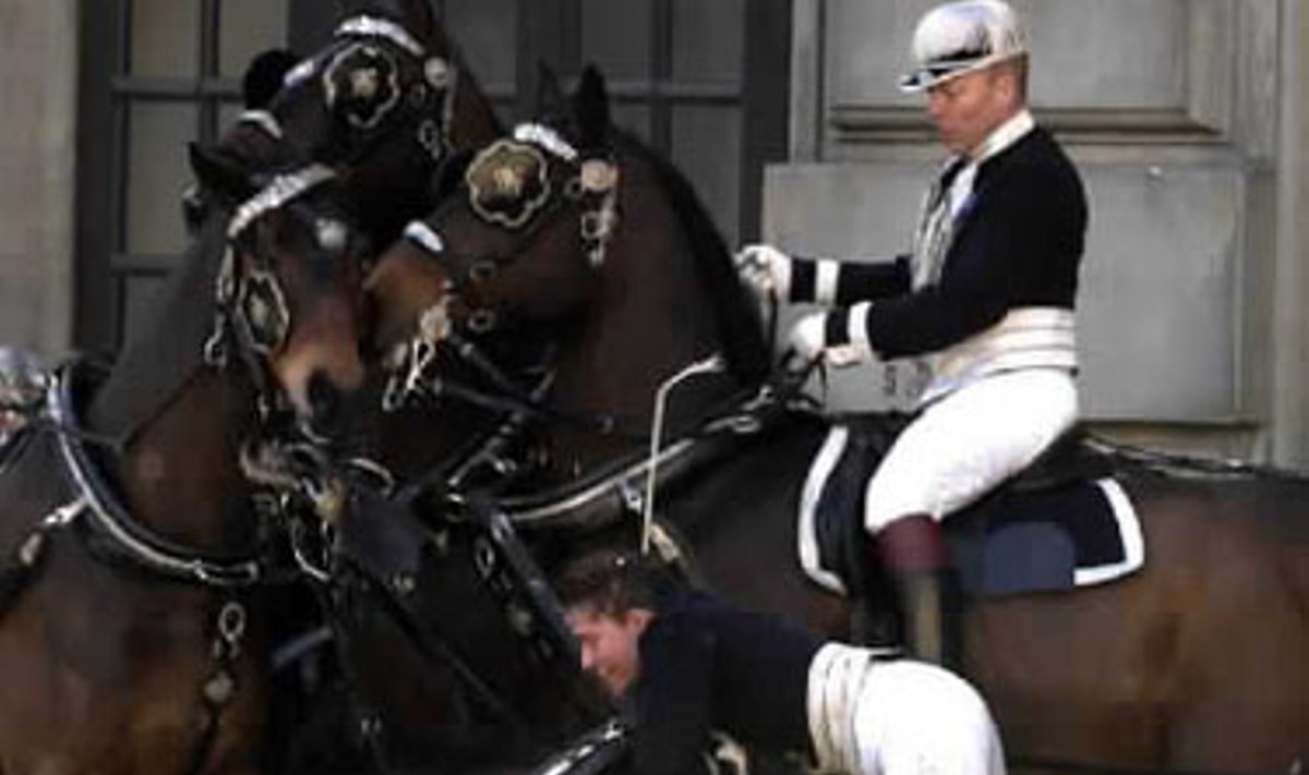 Švedijos karalienės karietą tempęs arklys atsistojo piestu ir parkrito