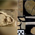 Archeologai neturi jokio atsakymo: rado kūdikių palaikus, ant kurių galvų – „šalmai“ iš kaukolių