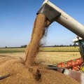 Lithuania post's one of largest drop in agricultural output in EU