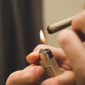 Latvijoje vėl renkami parašai dėl marihuanos rūkymo dekriminalizavimo