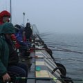 Žvejų meka vėl gyva: visi plūsta į Klaipėdą