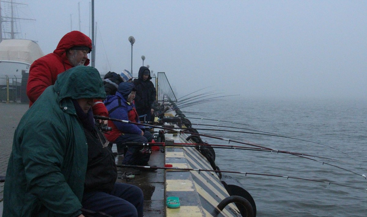 Stintų žvejyba Klaipėdoje jau prasidėjo