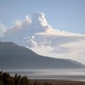 Galingas žemės drebėjimas prie Aliaskos krantų sukėlė nedidelių cunamio bangų