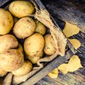 5 sandėliavimo klaidos, galinčios sugadinti bulvių atsargas