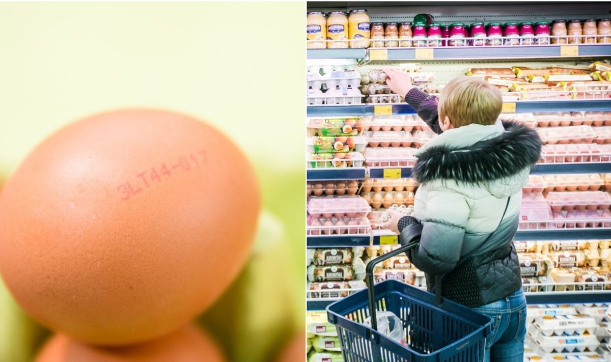 Kiaušinių ženklinimas