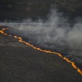 Fires around Chernobyl 'pose no hazard' in Lithuania