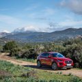 „Jaguar E-Pace“ testas: jauniklio krykštavimas nuožmiame miške