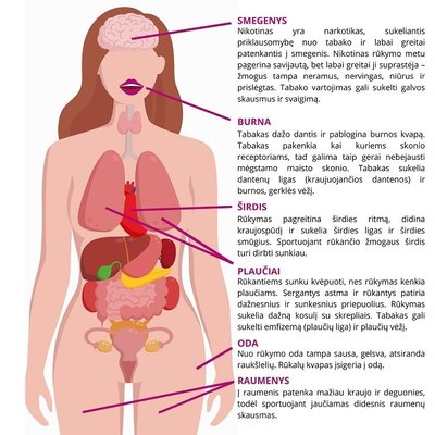 Rūkymo žala, prisijaukinkmenstruacijas.lt nuotr.
