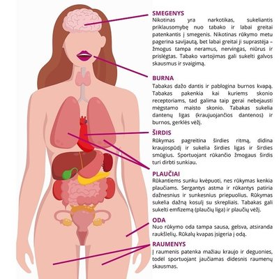 Rūkymo žala, prisijaukinkmenstruacijas.lt nuotr. 