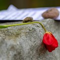 Ekspertai vieningi: Holokausto aukų atminimas vis dar nepakankamas, o memorialinės vietos atsiduoda sovietmečiu