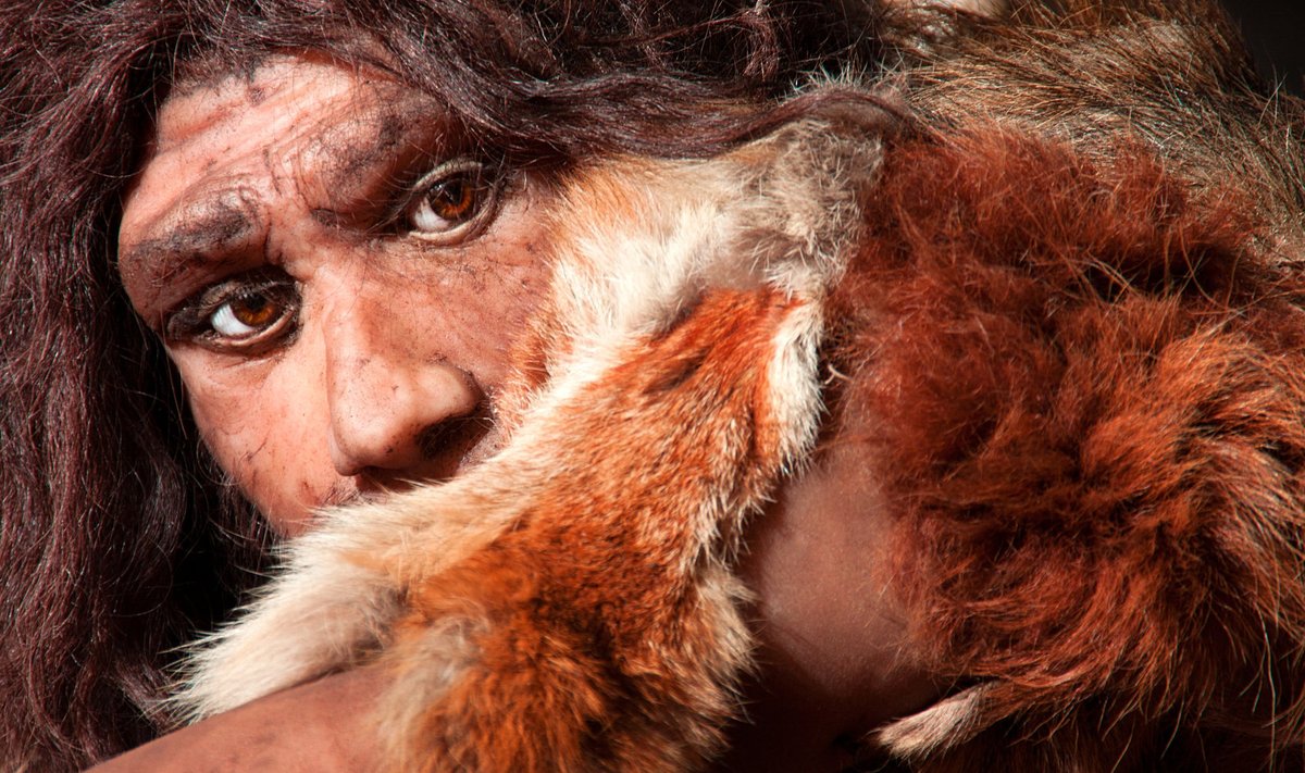 Neandertalietis