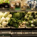 Stiprinamos priemonės stabdyti nelegalų rusiškų daržovių įvežimą