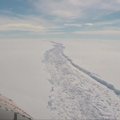 Nuo ledyno Antarktidoje gali atskilti Velso dydžio ledkalnis