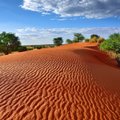 Mūsų planeta – neįtikėtina: nederlingose dykumose mokslininkai rado milijardus medžių