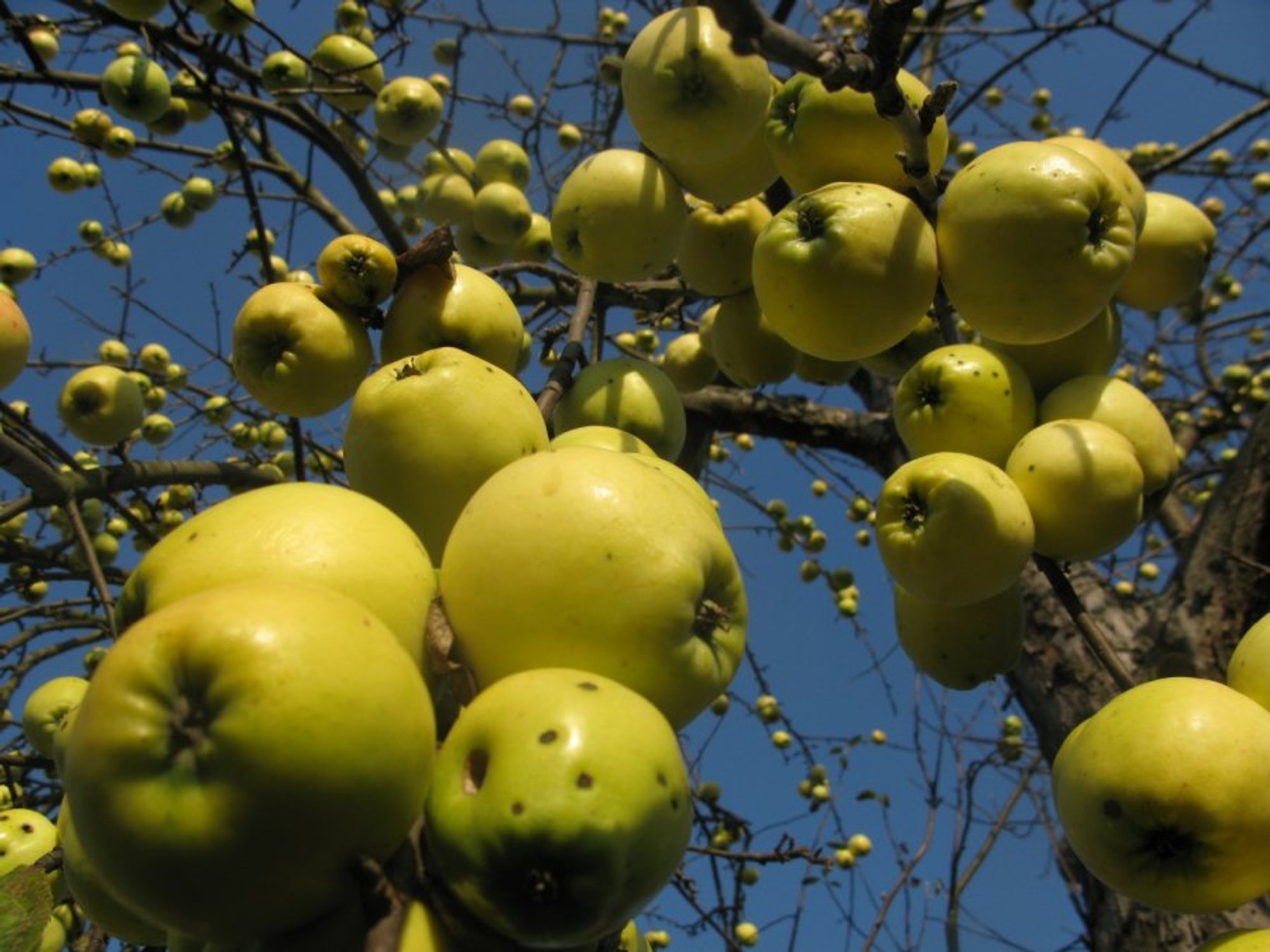 Kada baigiasi vasara? - Delfi