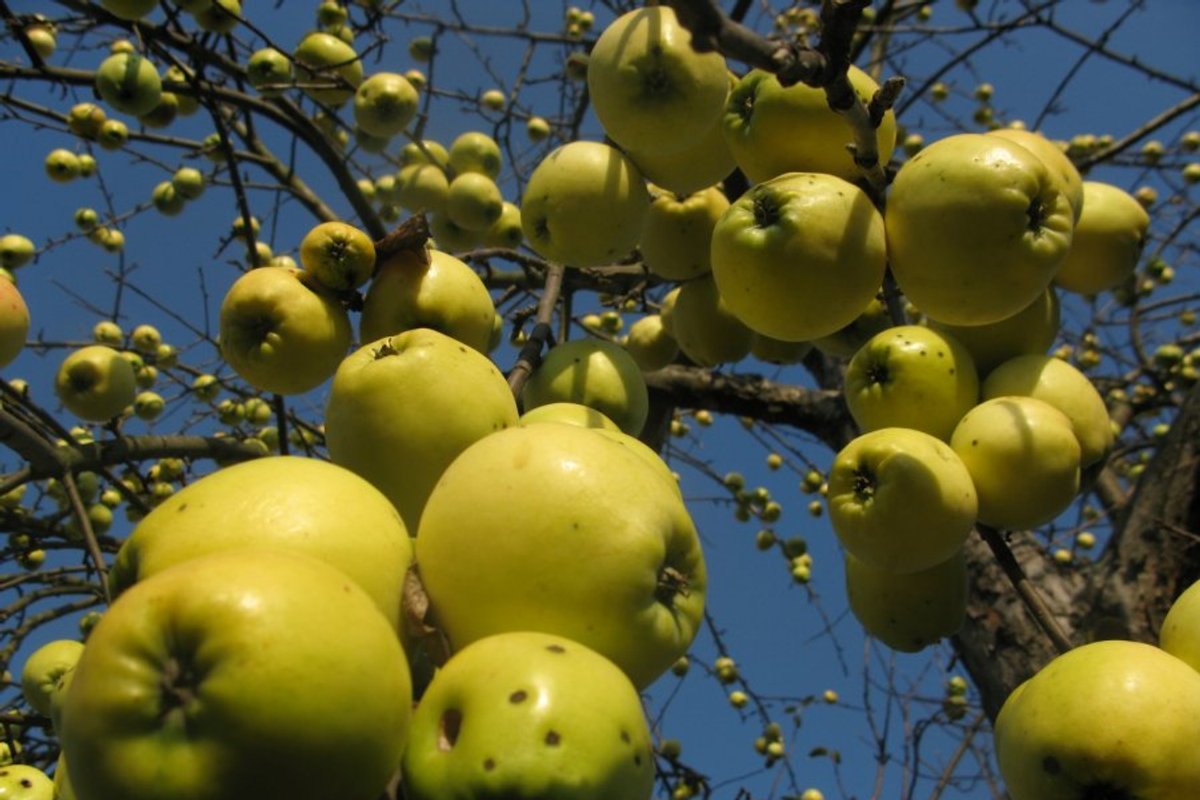 Kada baigiasi vasara? - Delfi