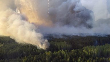 6 ha lasu pali się wokół strefy zamkniętej w Czarnobylu