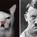 Усы Гитлера – символ зла