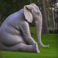 Palangos gyventojus nustebino sode „prisėdęs“ dramblys
