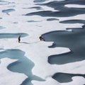 NASA įspėja: po Arkties ežerais tirpstantis amžinasis įšalas klimatui dar pavojingesnis, nei manyta