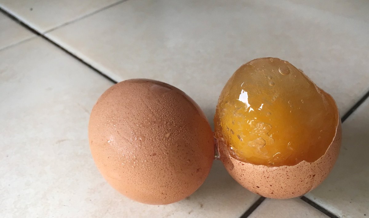 Šaldyti kiaušiniai