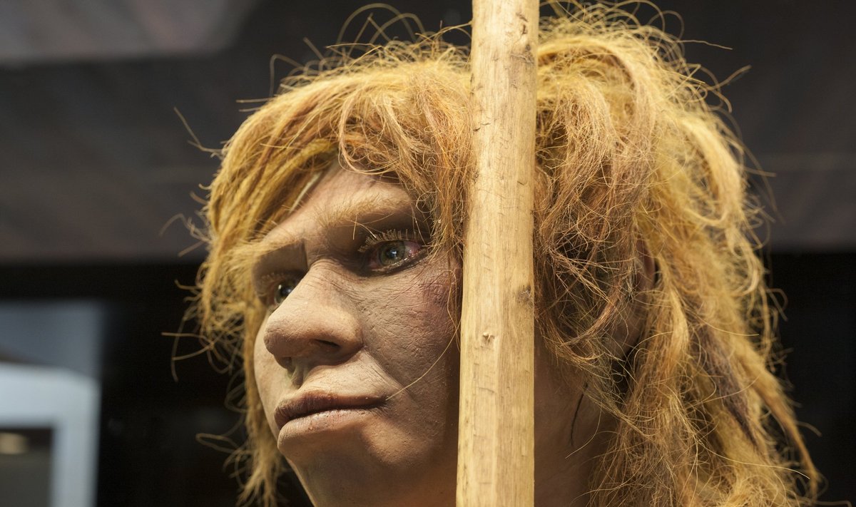 Neandertalietė