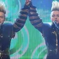 Airija į "Euroviziją" ir vėl siunčia dvynius Jedward