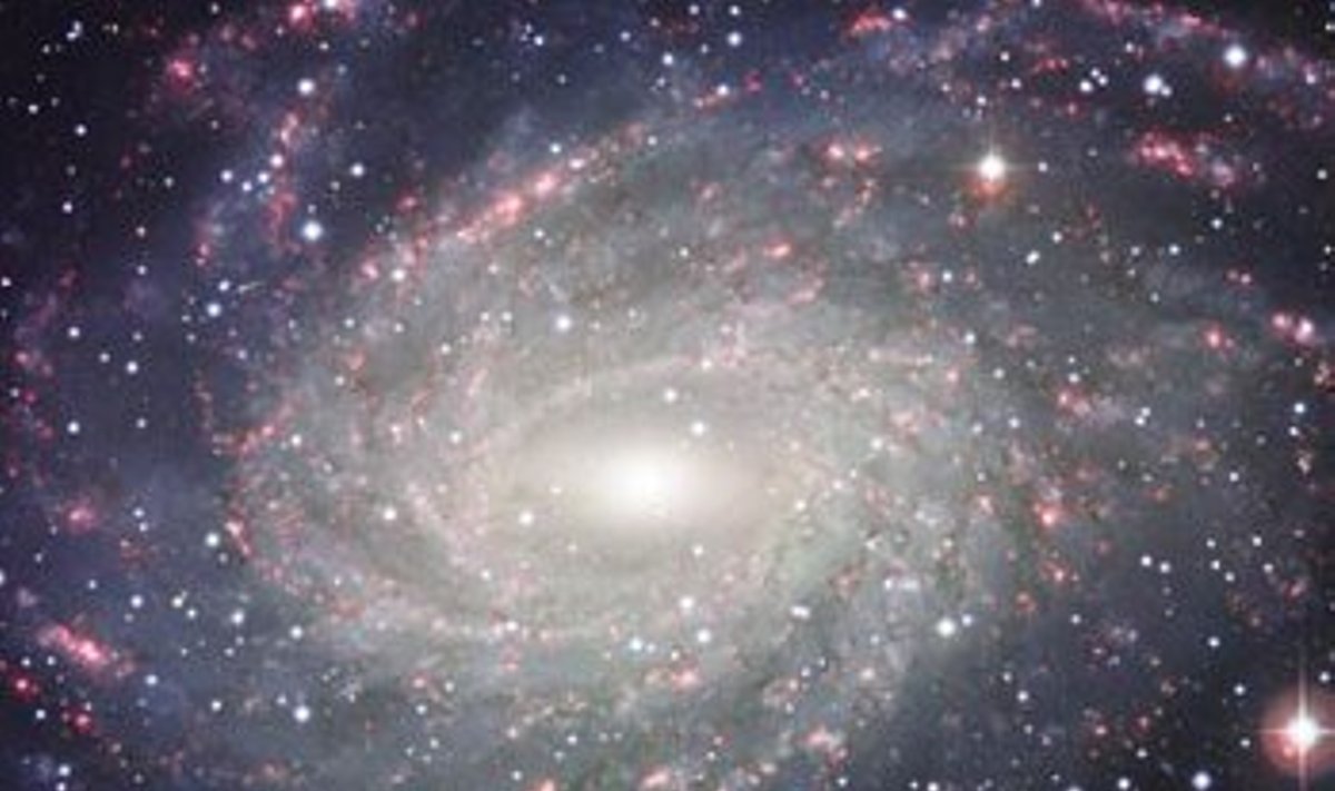 NGC 6744. Фото ESO