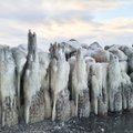 Gražu pažiūrėti: Šventąją papuošė gamtos sukurtos ledo skulptūros