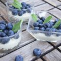 Vasaros maistas: sveikas ir gardus desertas – labai patiks vaikams