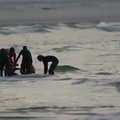 Australijoje ryklys mirtinai sužalojo banglentininką