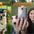 „Pedigree“ naujovės – greita asmenukė su augintiniu ir „Snapchat“ šunims