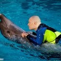 Ruošiantis pasirodymui R. Vyšniauską sužalojo delfinas