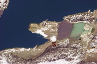 Druska garinimo tvenkiniuose ties Didžiuoju druskų ežeru traukia pastelinių spalvų dumblius, krevetes ir milžinišką vienišką vilką (Ch. Hadfieldo/NASA nuotr.)