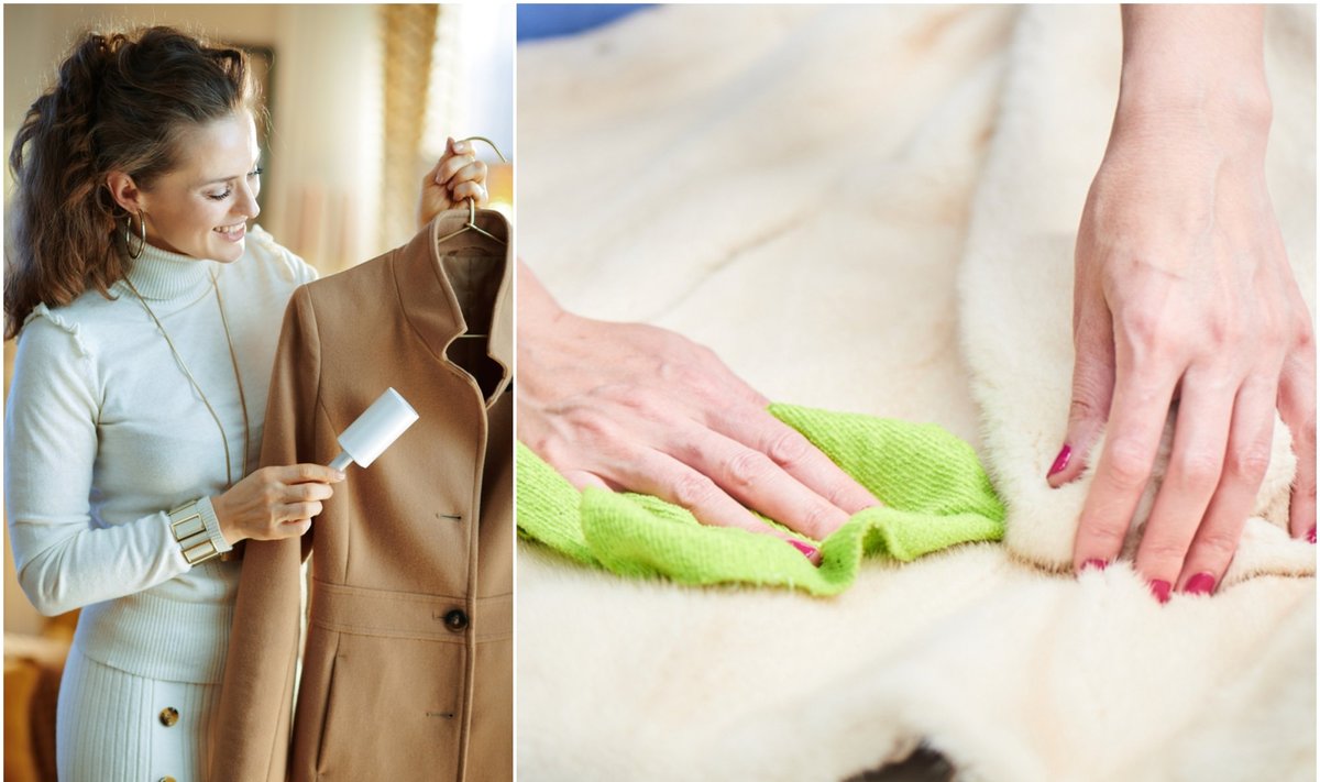 Kaip namuose skalbti vilnonį paltą ir dirbtinio kailio kailinius