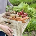 Ekologiški maisto produktai: kaip juos atpažinti?