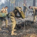 Ispanijos šiaurėje per parą užfiksuota 90 miško gaisrų, įtariami tyčiniai padegimai