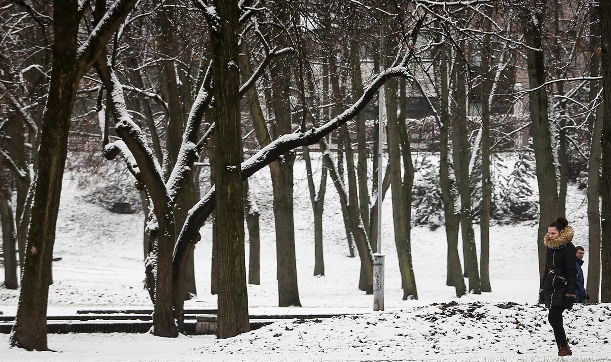 Žiema Vilniuje
