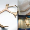 Biržų rajone atrastas prieš 13000 metų pagamintas kirvis – seniausias archeologinis radinys Lietuvoje
