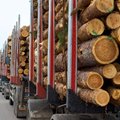 Aistros dėl medienvežių svorių nerimsta