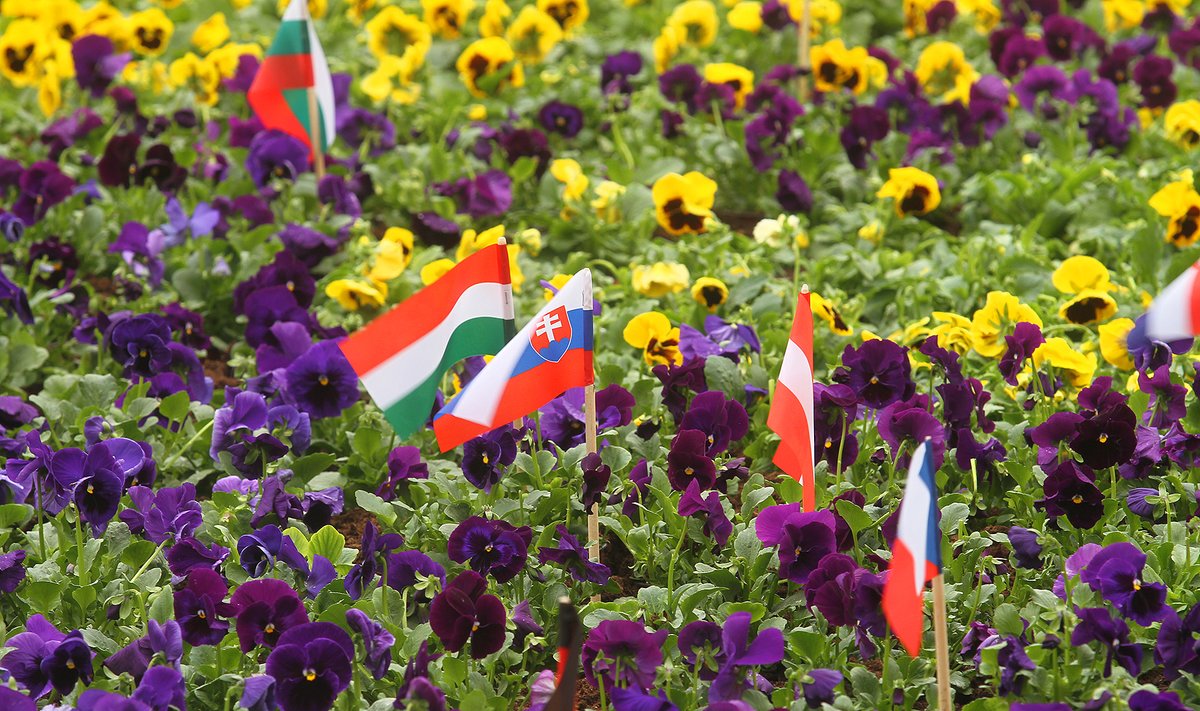 Central European countries' flags in Kaunas