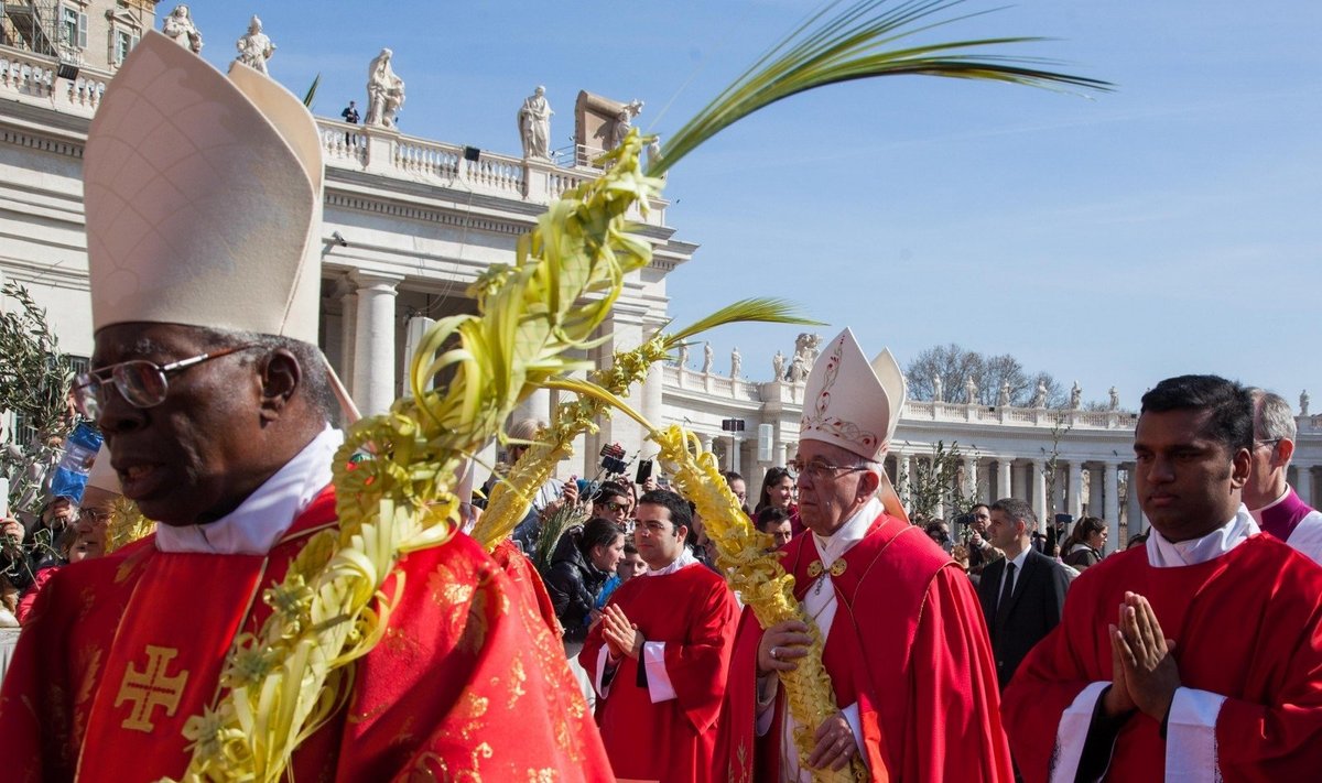 Popiežius Pranciškus Verbų sekmadienį Vatikane