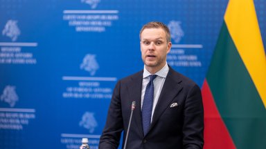 Глава МИД Литвы: решение относительно передачи доходов от замороженных российских активов Украине будет найдено