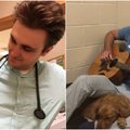 Kalytė labai bijojo operacijos: veterinaras ją nuramino į rankas paėmęs gitarą