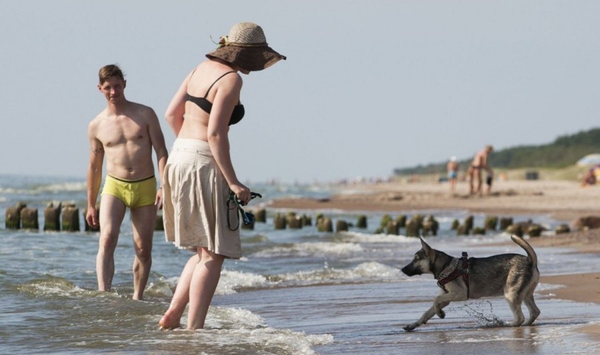 Į paplūdimius atsivesti šunų negalima