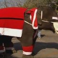 Tailande dovanas dalino kalėdiniai drambliai